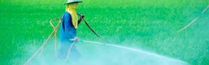 Curso de Biocidas | 2 Créditos ECTS
