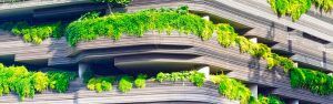 Curso de Economía Verde en Oficinas y Despachos | 2 Créditos ECTS