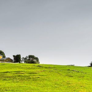 Curso de Gestión y Comercialización de Alojamientos Rurales